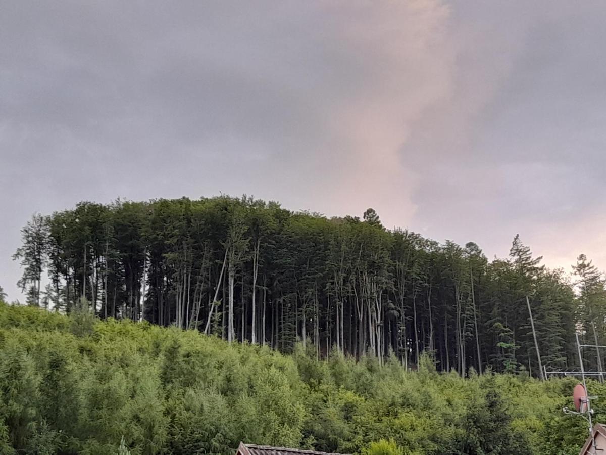 Pohoda Salas U Velehradu-2 Apartmany Uherské Hradiště 外观 照片